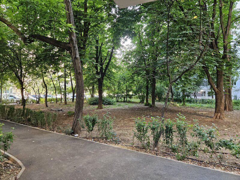 Drumul Taberei, B.dul 1 Mai